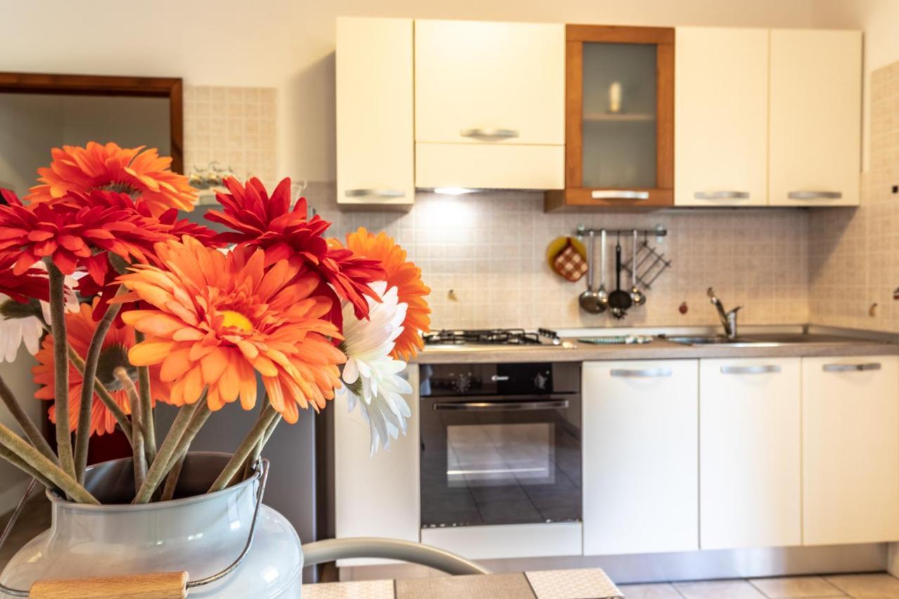 Le Terrazze Sul - Ledro House Apartment Pieve Di Ledro